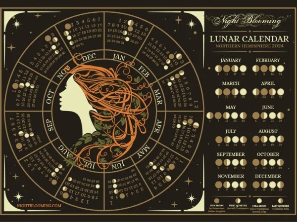 Xem ngày đẹp cắt tóc – Lịch cắt tóc tốt nhất tháng&nbsp;10.2024