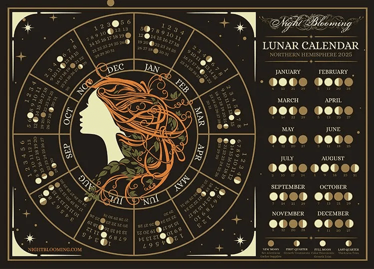 Xem ngày tốt cắt tóc âm lịch Tháng 6/2025